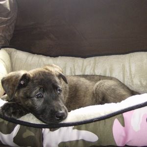 Meet your Posher, Jodi